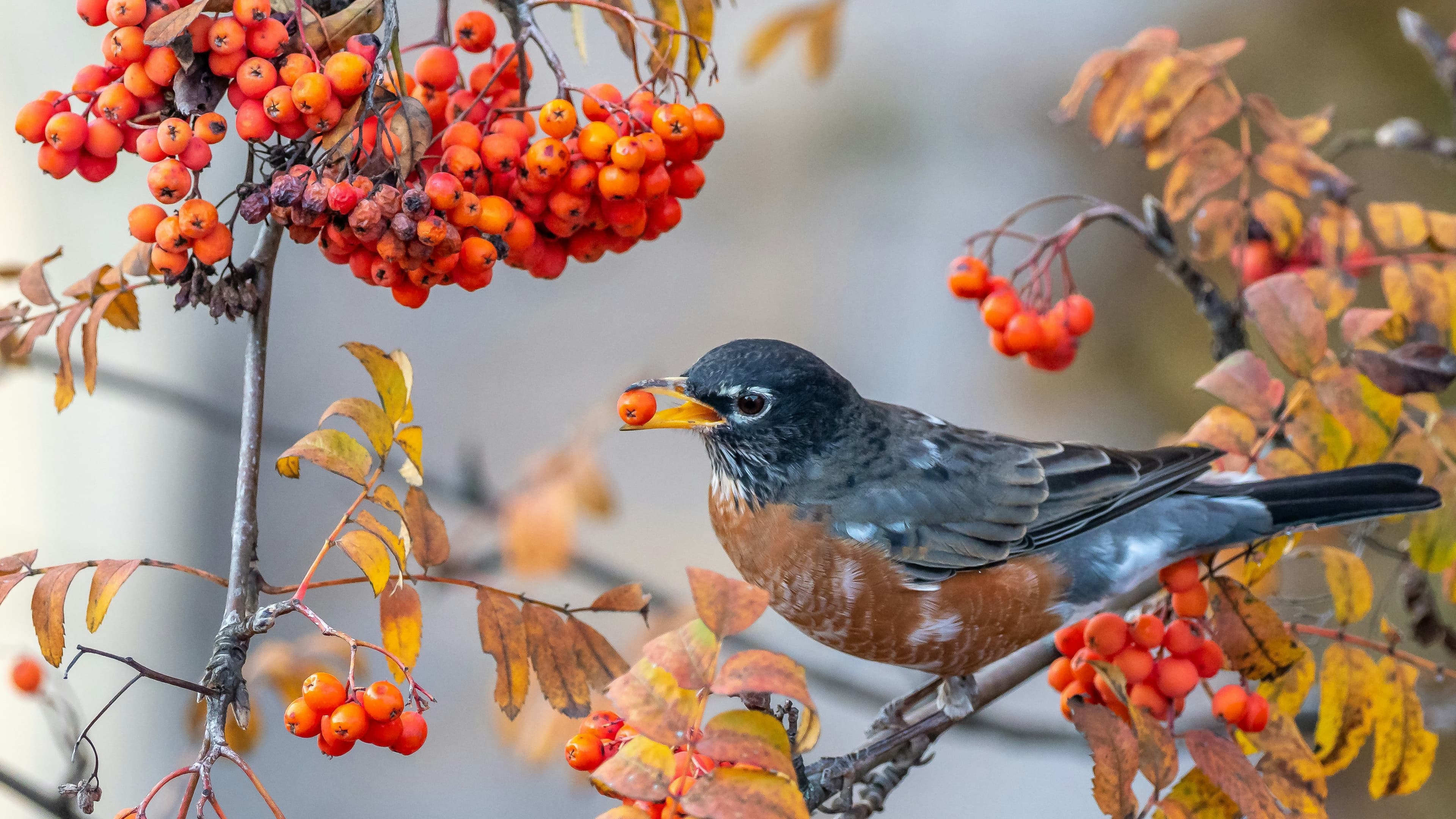 Bird perched on a branch